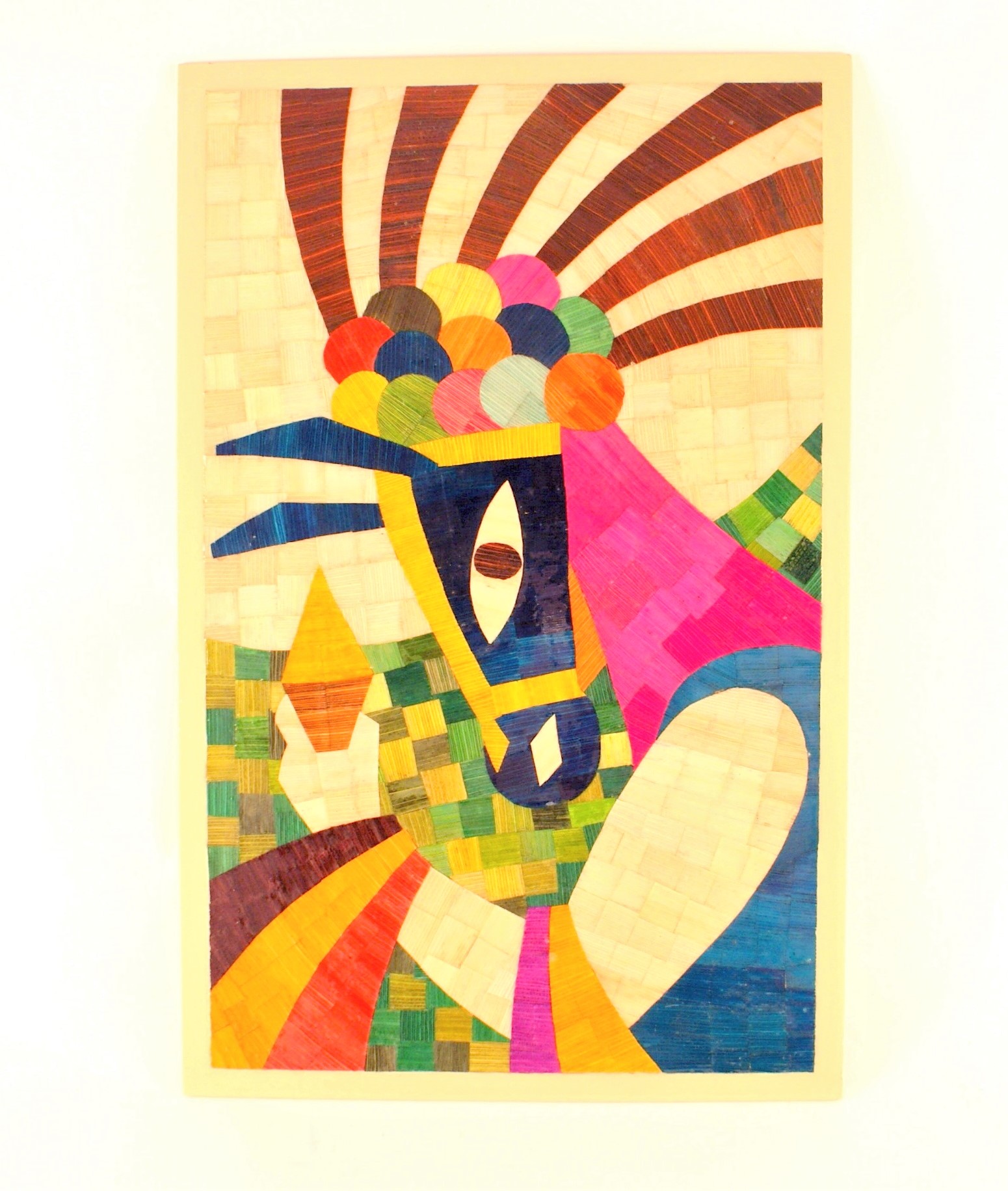 國會外交 封面照