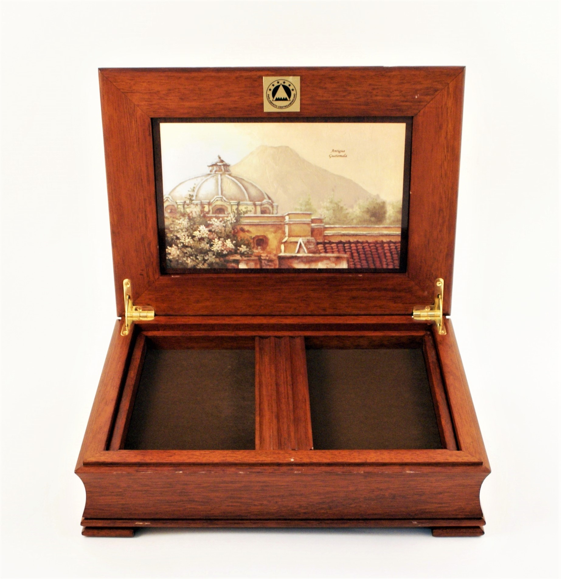 國會外交 封面照