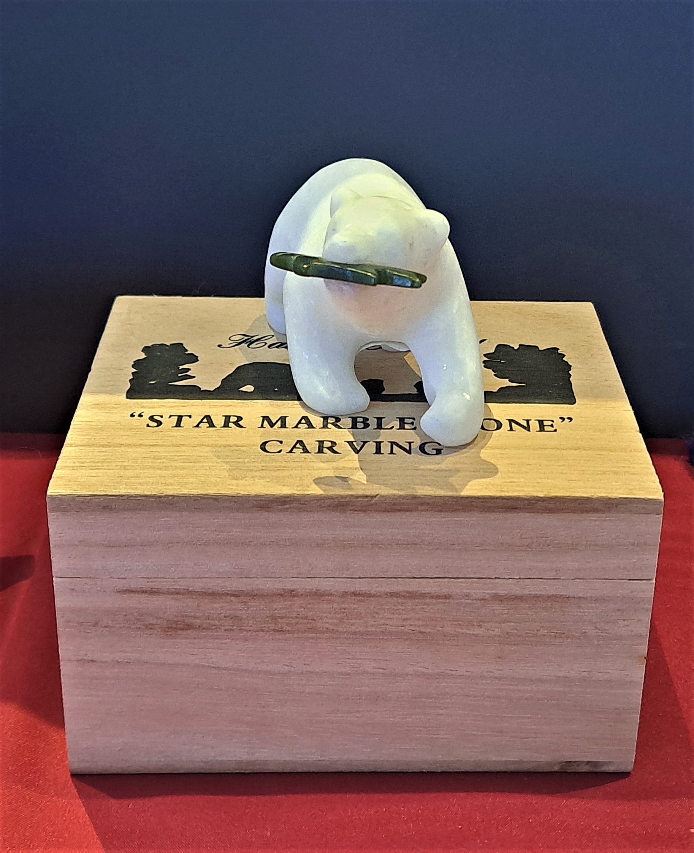 國會外交 封面照