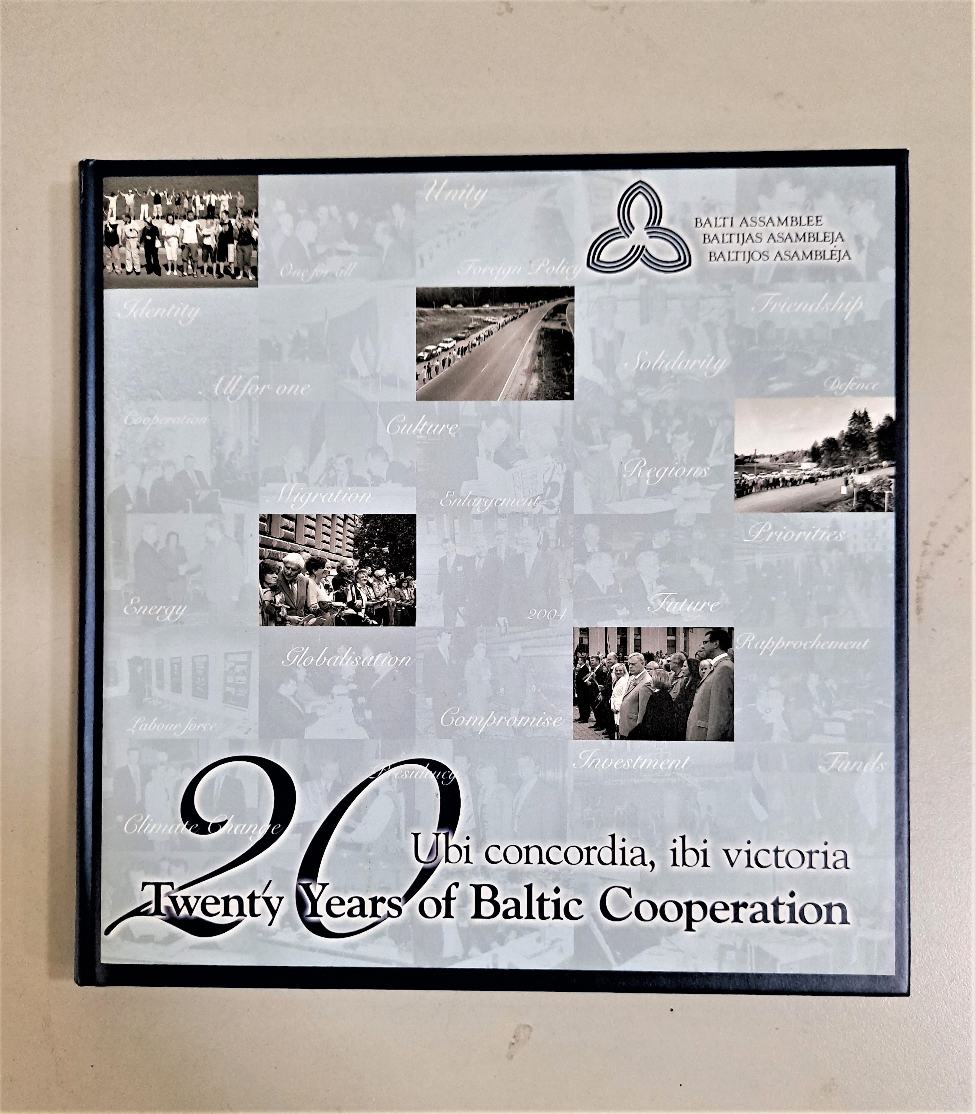 國會外交 封面照