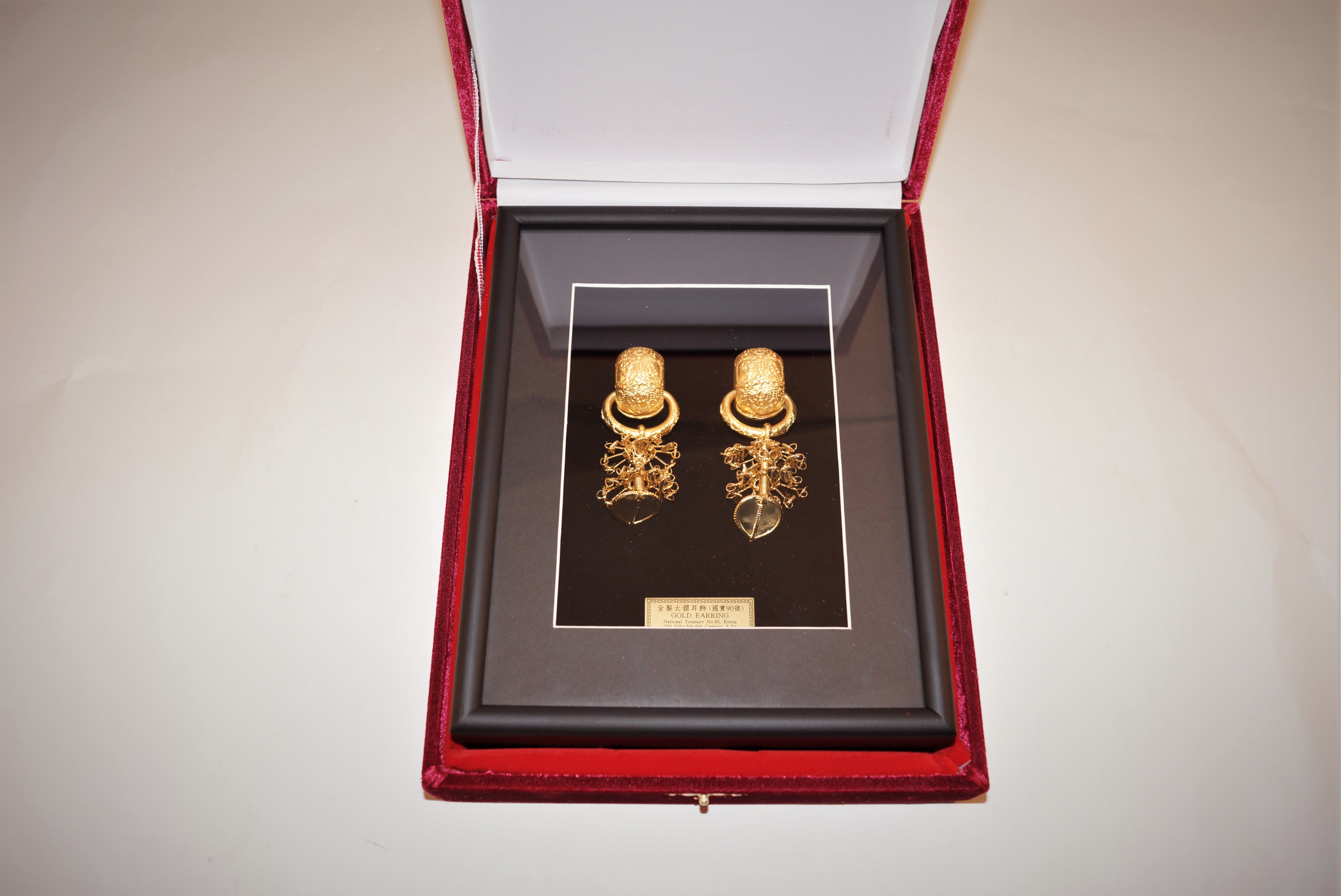 國會外交 封面照