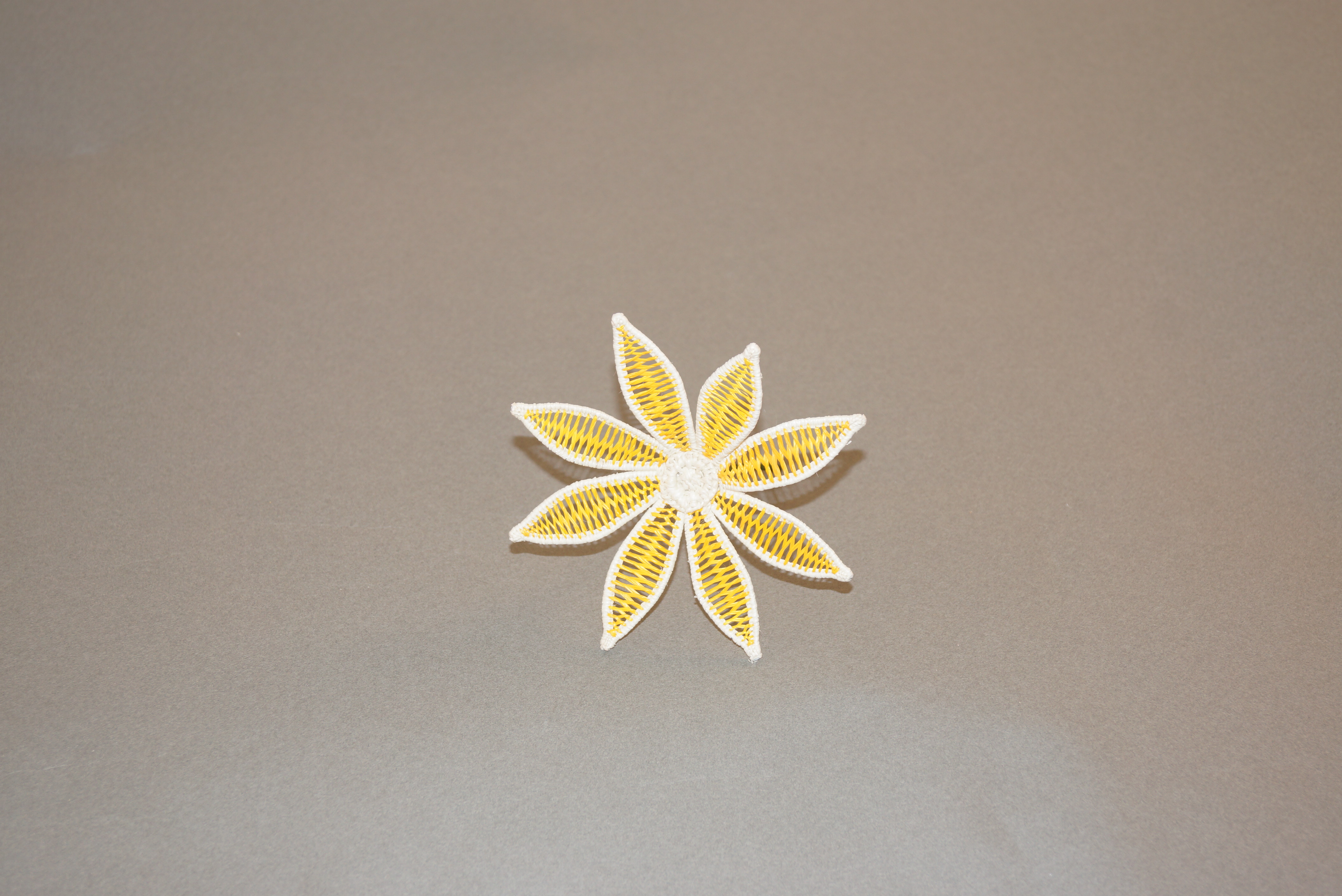 國會外交 封面照