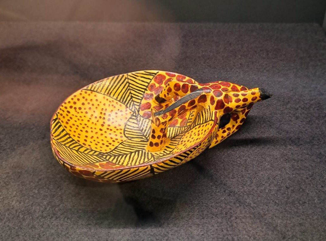 國會外交 封面照