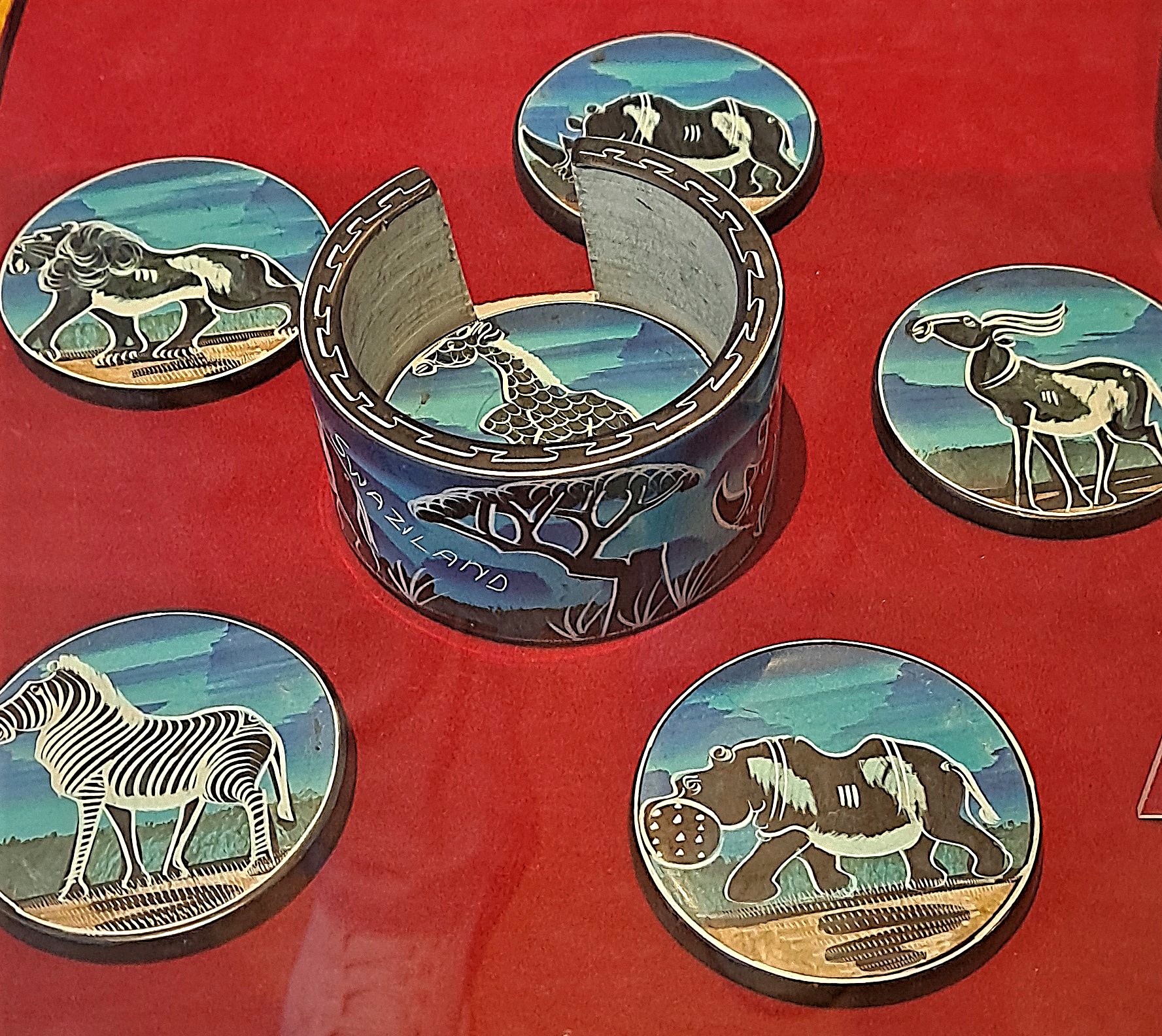 國會外交 封面照